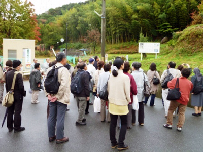 �g�s�b�N�XNo.56